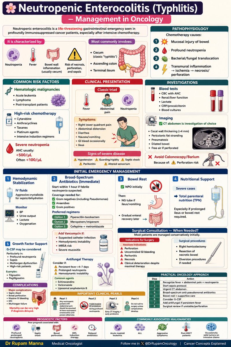 DrRupamOncology's tweet photo. 🚨 Neutropenic Enterocolitis (Typhlitis) is a TRUE oncologic emergency.

In any cancer patient with:
⚠️ Fever
⚠️ Abdominal pain
⚠️ Severe neutropenia

→ Think Typhlitis until proven otherwise.

Early recognition + urgent CT abdomen + prompt broad-spectrum anti-pseudomonal antibiotics can be lifesaving.

Key principles:
✅ Sepsis protocol immediately
✅ Bowel rest & supportive care
✅ Consider G-CSF in high-risk patients
✅ Add antifungal therapy if persistent fever
✅ Surgery only for complications like perforation/peritonitis

Delay in diagnosis can rapidly lead to:
❌ Septic shock
❌ Bowel necrosis
❌ Multiorgan failure

A high index of suspicion saves lives in oncology wards and ICUs.

#Oncology #MedicalOncology #Typhlitis #NeutropenicEnterocolitis #FebrileNeutropenia #CancerCare #Hematology #Leukemia #Sepsis #CriticalCare #OncoEmergency #AML #Chemotherapy #CancerEducation #DrRupamManna #CancerConceptsExplained