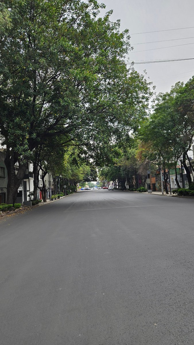AlberthNow's tweet photo. @samo_tad Puente mal pintados de Morado y Eje 3 Sur sin señalización de carriles, cebras, ni las líneas de contra flujo desde que repavimentaron en Enero. https://t.co/pfkN58E7LJ