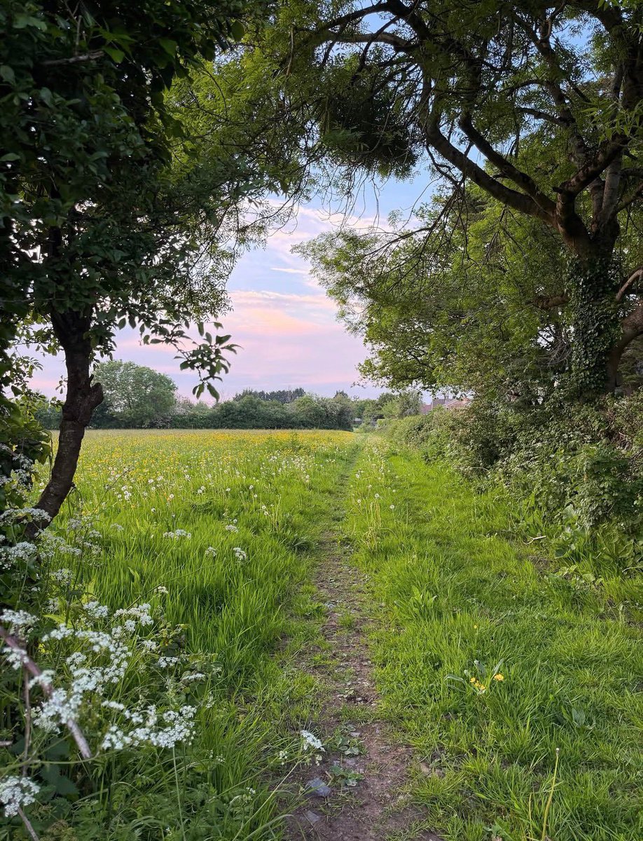 naturehealyou's tweet photo. this kind of peace https://t.co/K6cY41qeav
