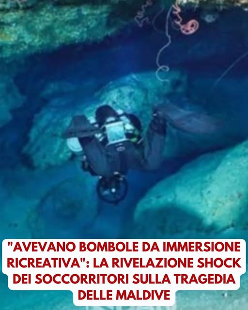pier luigi pinna tweet media