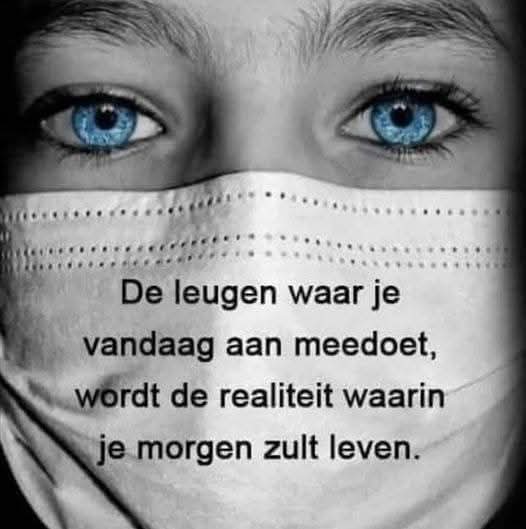 Vlindertje tweet media