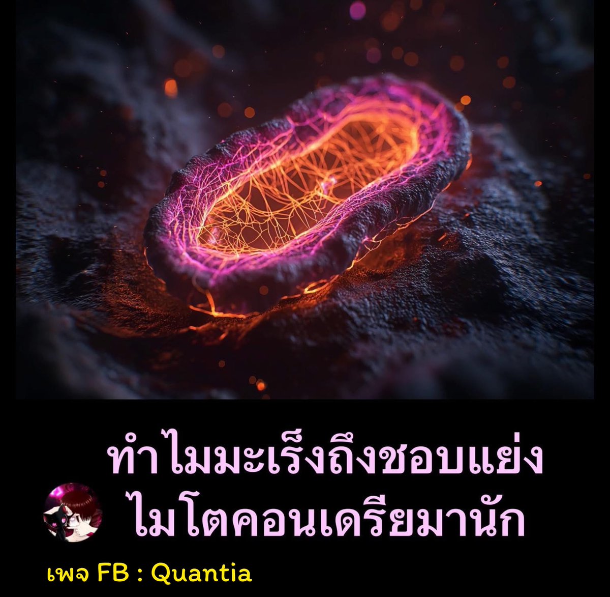 NNakorn5's tweet photo. āļāļģāđāļĄāđāļāļĨāļĨāđāļĄāļ°āđāļĢāđāļ
āļāļķāļāļāļĒāļēāļĒāļēāļĄ âāļāđāļĄāļĒāđāļĄāđāļāļāļāļāđāļāļĢāļĩāļĒâ āļāļēāļāđāļāļĨāļĨāđāļāļ·āđāļ âïļ
ðĩāļāļāļāđāļāļĩāļĒāļ§āļāļ
āļāđāļēāļāļāļāļāļ§āļēāļĄāđāļāđāļĄāđāļāđāļāļĩāđ : https://t.co/hZ3EtSOR9h
#āļāļŠāļ #āļāļĻāļ #āđāļāļāļĒāđ #physio #āļāļīāļŠāļīāđāļ #āļŠāļļāļāļ āļēāļ #āļāļēāļāļēāļĢāļĒāđāļāļāļĢ #āļāļĩāđāļāļāļĢ #āļāļāļĢāļāļīāļŠāļīāđāļ #quantia #āļĄāļ°āđāļĢāđāļ #cancer â(1) https://t.co/ayayljnBtt