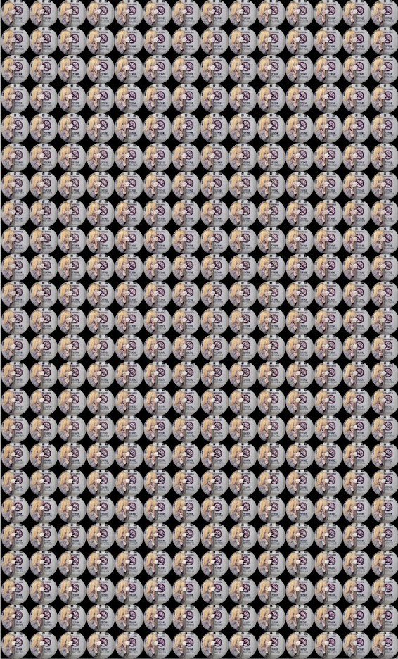 شداد بن قضعان tweet media