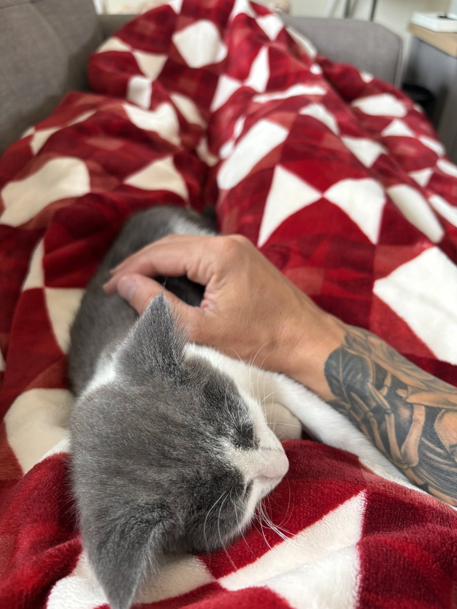 R08BO's tweet photo. New legends just dropped

🐈‍⬛ https://t.co/cr5kZ1f9Dk