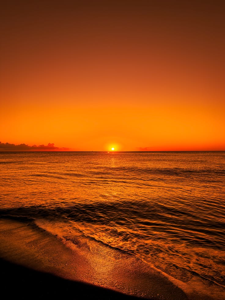 Colourful_ views tweet media