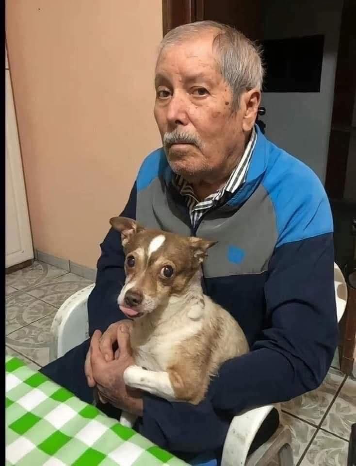 Dilo con perritos tweet media