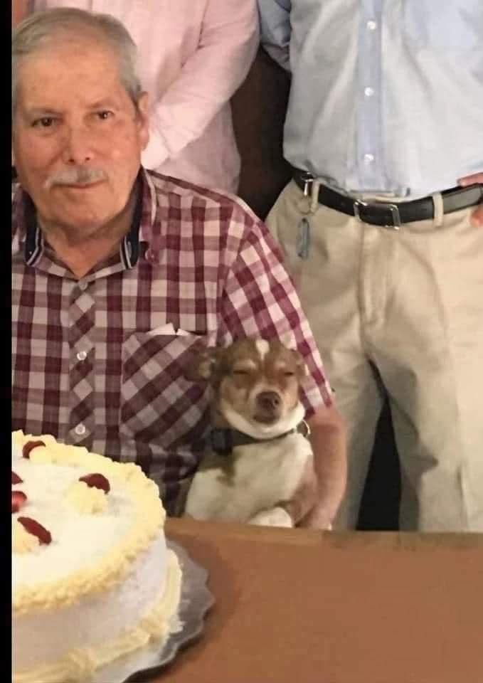 Dilo con perritos tweet media
