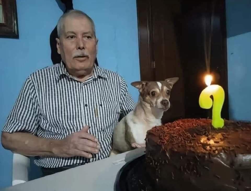 Dilo con perritos tweet media