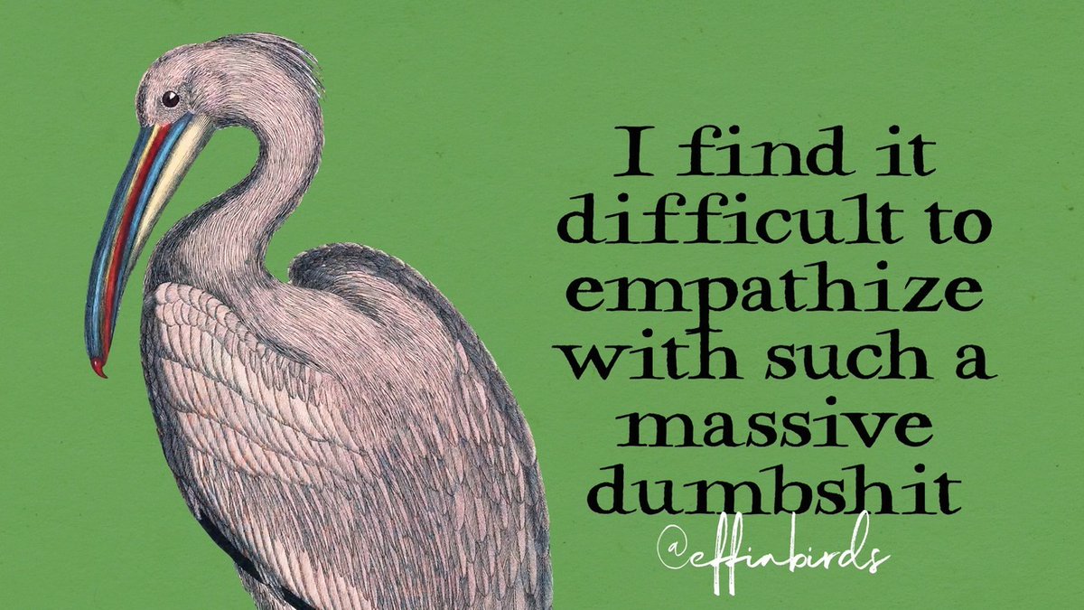 EffinBirds's tweet photo. https://t.co/rWbT81mxbR