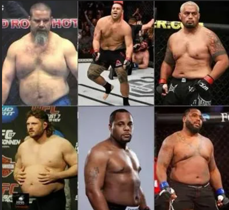 MMA FIXED tweet media