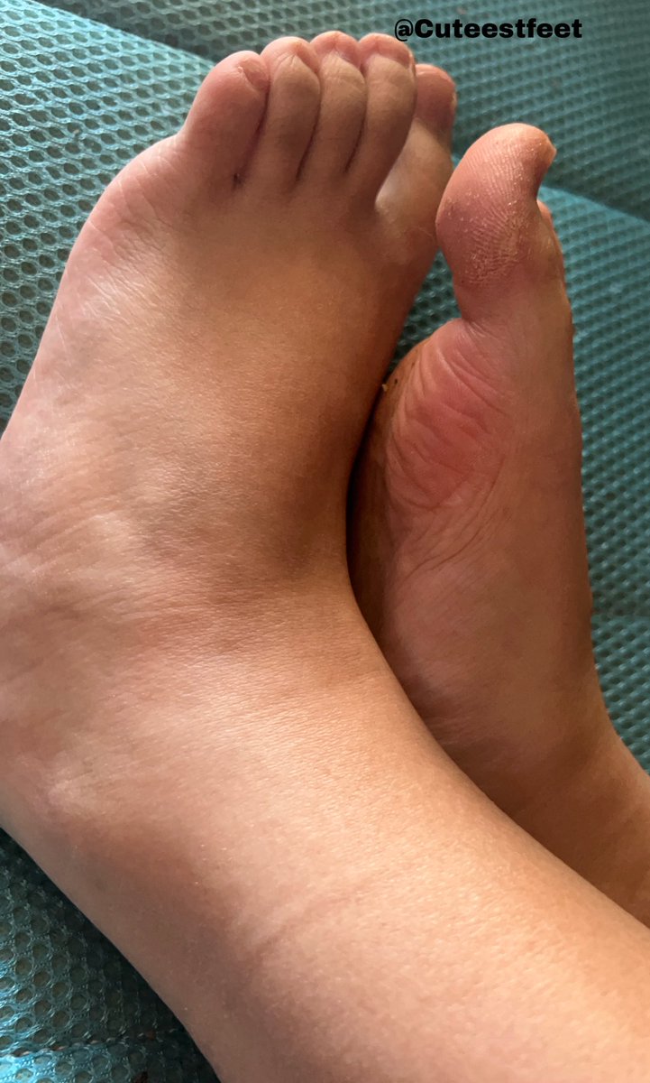 Feetlog tweet media