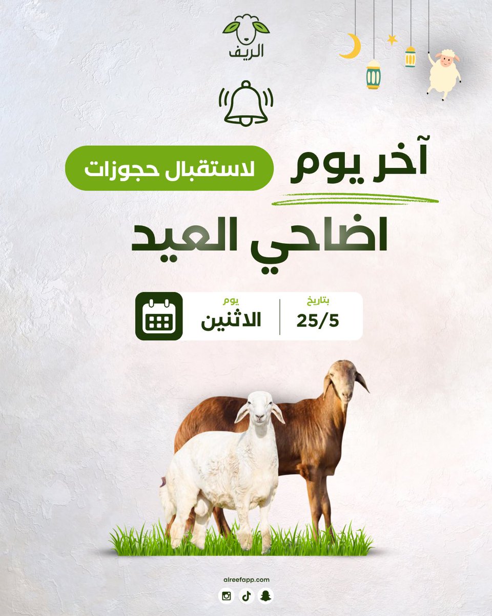 alreefapp's tweet photo. ⏰ باقي القليل ونقفل الحجوزات!
آخر موعد لحجز أضاحي العيد من الريف يوم الاثنين ٢٥/٥ 🐑🤍

احجز أضحيتك الآن واستقبل العيد براحة واطمئنان 👌🏻

للطلب عبر التطبيق او المتجر او للتواصل و 
الاستفسار : 0547252055

#أضاحي #اضحية#عيدالأضحى #حري #سواكني https://t.co/B8D74ZcnC3