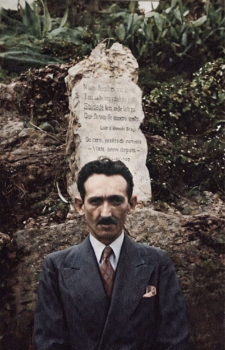 🔰ANTIZOG🏴☠️ tweet media