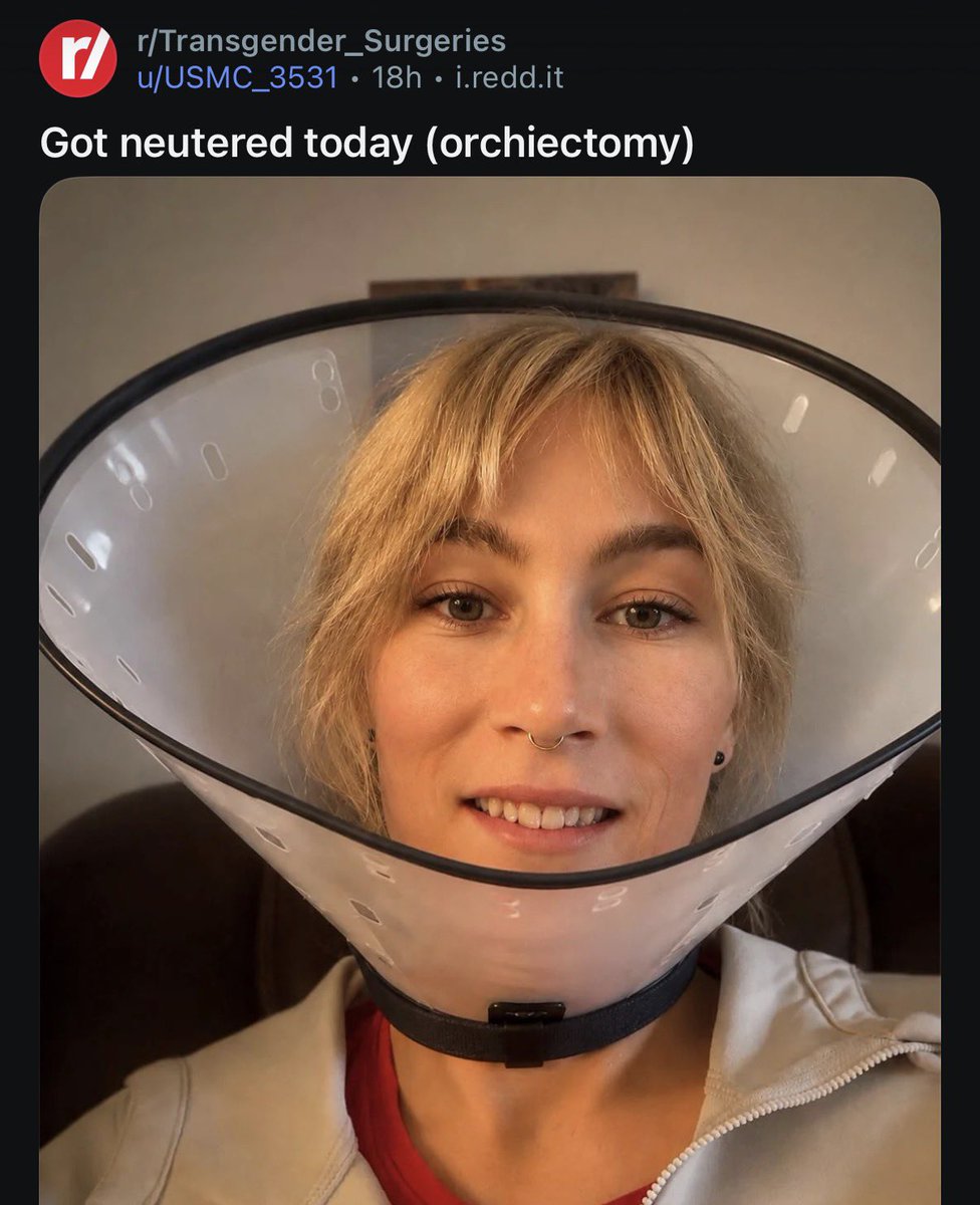 Hazel Appleyard tweet media