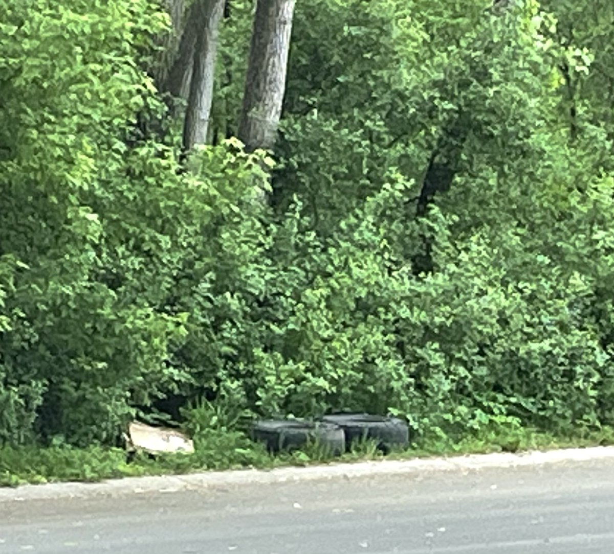 PWiniecki's tweet photo. @MoundsViewMayor 1 week that my wife sent this to MV city. Couple of garbage tires and cardboard that our “neighbors” didn’t want. The fuckin neighbors here are going to clean it up for you. https://t.co/Lac85s3tc2