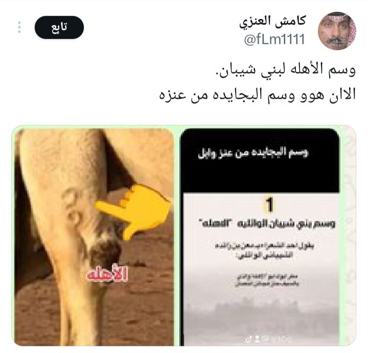 الفيصل التغلبي tweet media