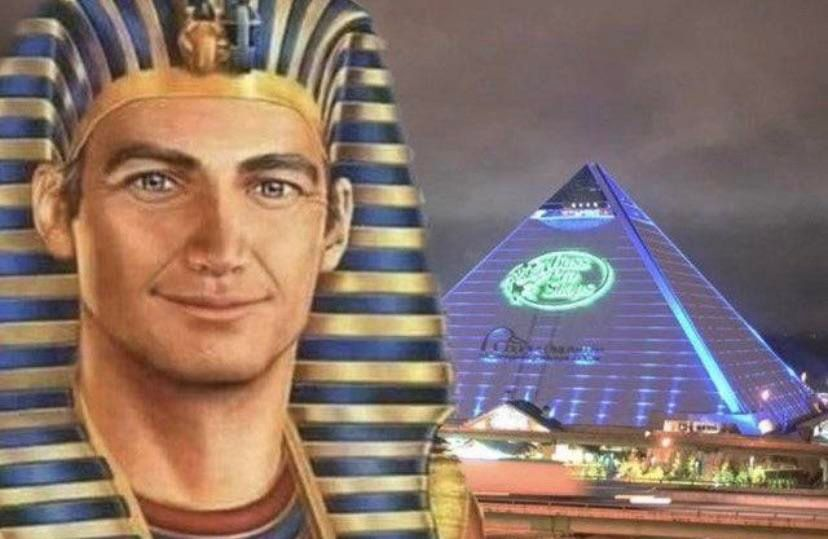 The🌙Magician tweet media