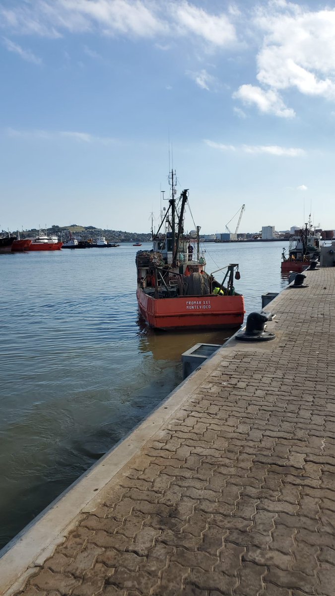 cipu_1983's tweet photo. 🐟 BUENA MAREA!!
"Emperador", "Promar", "Qian Lian II", y "Sopesca", zarparon a zona de pesca. 
⚓️ Una nueva zafra está en marcha y se renuevan las expectativas de todos los involucrados: marineros, maquinistas, patrones de pesca, trabajadores de las plantas procesadoras, proveedores de insumos y servicios y empresarios.
Este es un año muy especial. Después de haber perdido dos zafras completas por conflictos sindicales, todo el país apuesta a que la pesca de una vez por todas ponga proa al desarrollo definitivo del sector.
Generando más y mejor empleo en toda la cadena productiva, permitiendo inversiones en plantas y en la flota, aumentando las divisas que ingresan al país por la exportación de pescado.
💪Hay mucho por hacer todavía para que esto sea una realidad, pero vemos algunas señales auspiciosas.
#UruguayPesca #LaPescaSomosTodos #UruguayesMar