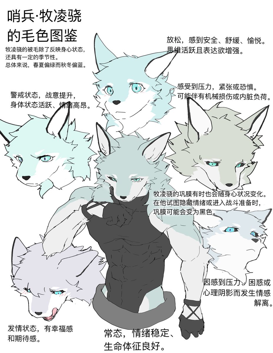骏獬玄鱼🦀🐚 tweet media