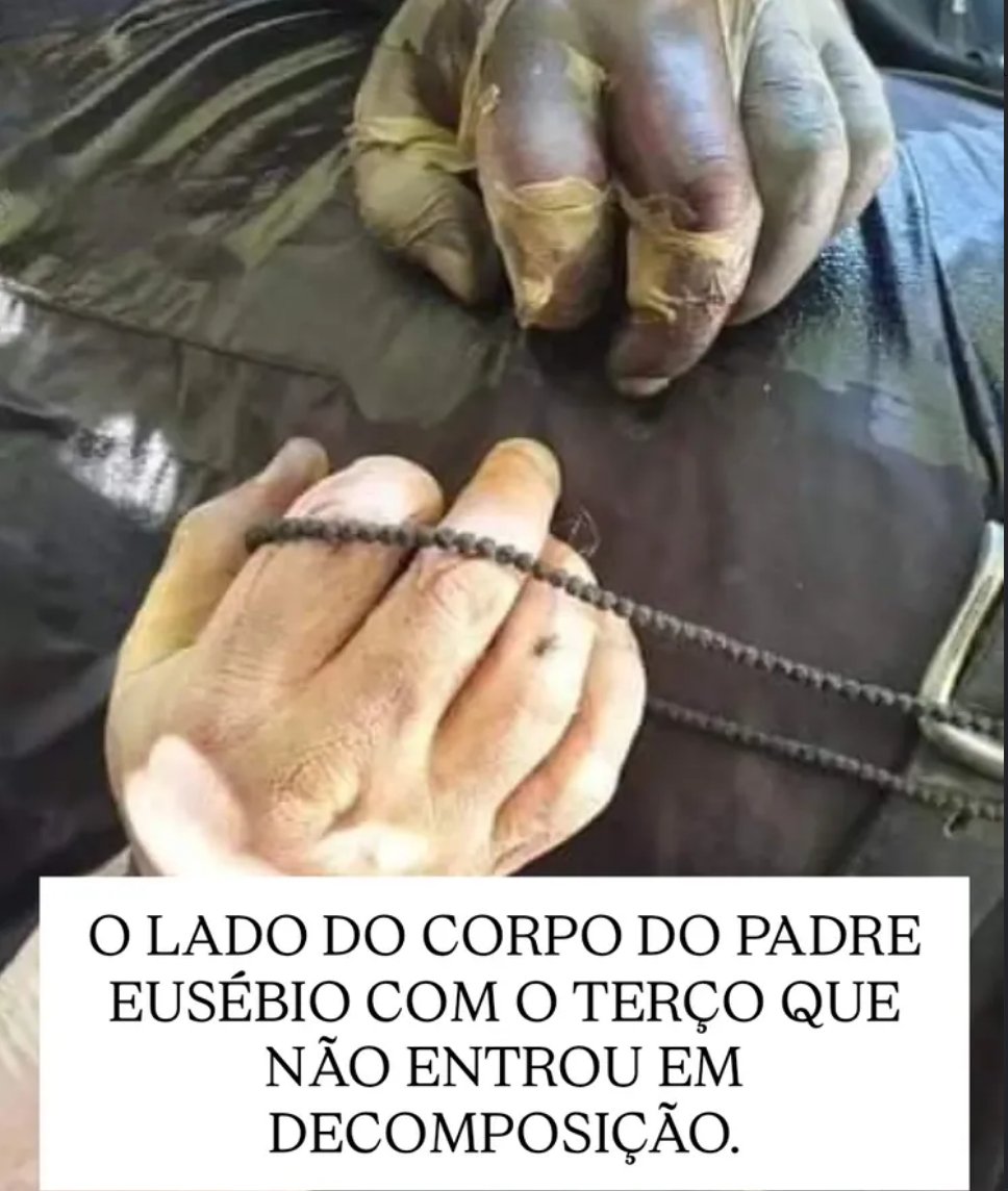 PaiCatólico 🇻🇦 tweet media