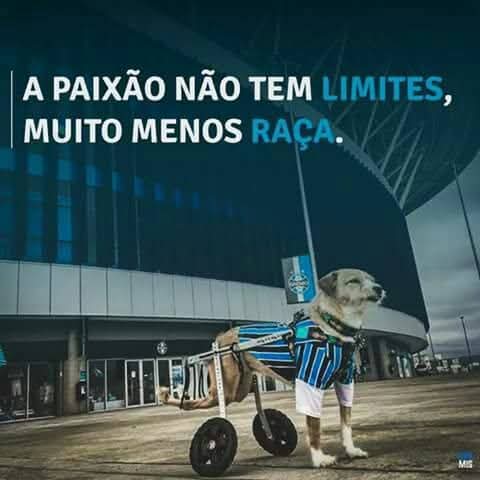 sergio brum barbosa tweet media