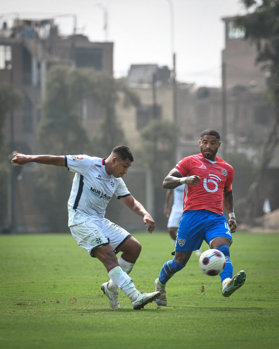 San Martín tweet media