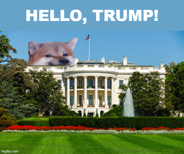 hottaspotta's tweet photo. NAFO: "Hello, Trump!"
#nafoexpansionisnonnegotiable https://t.co/Bb8Uv5TbA7