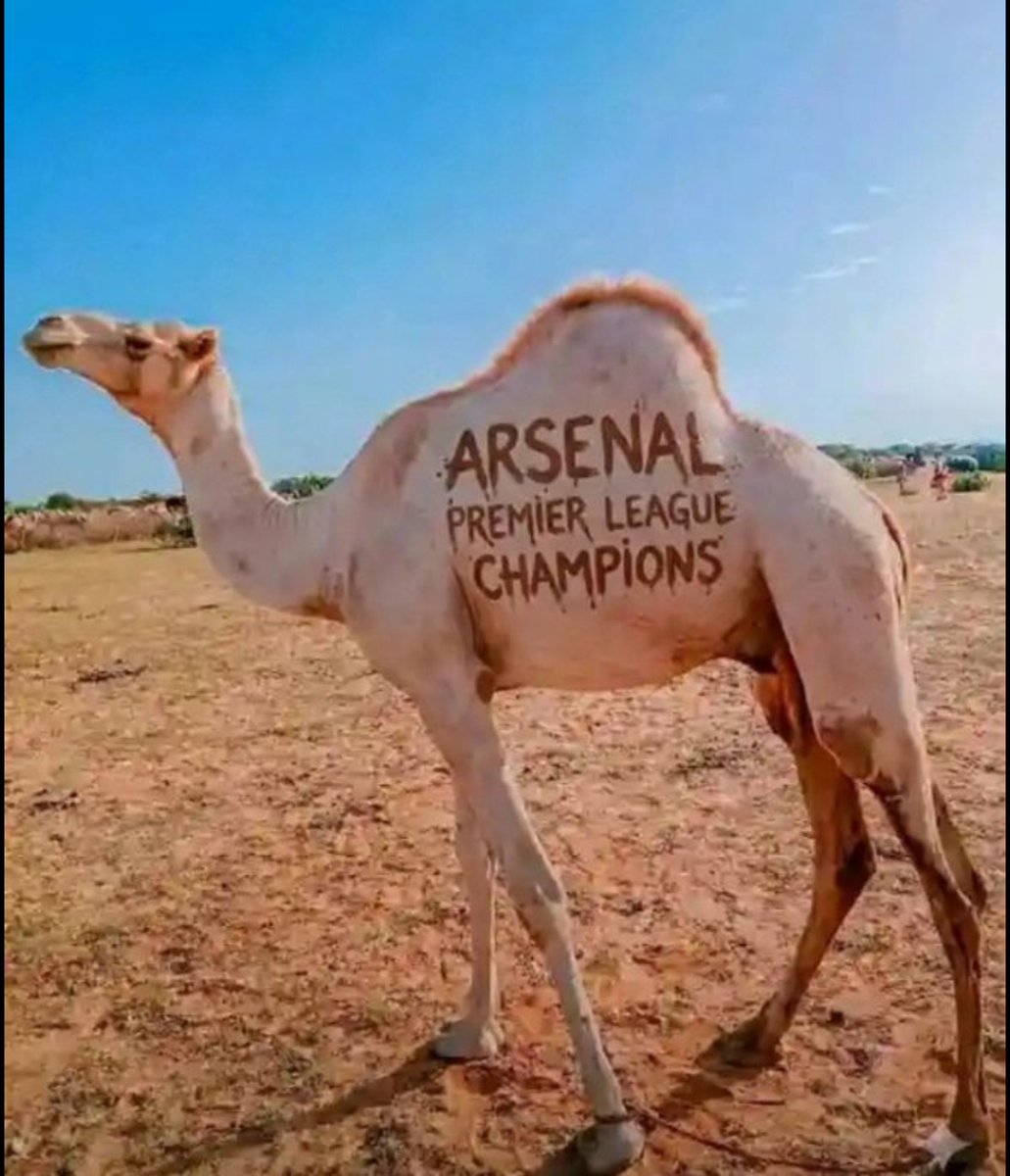 Ahmednasir Abdullahi SC tweet media