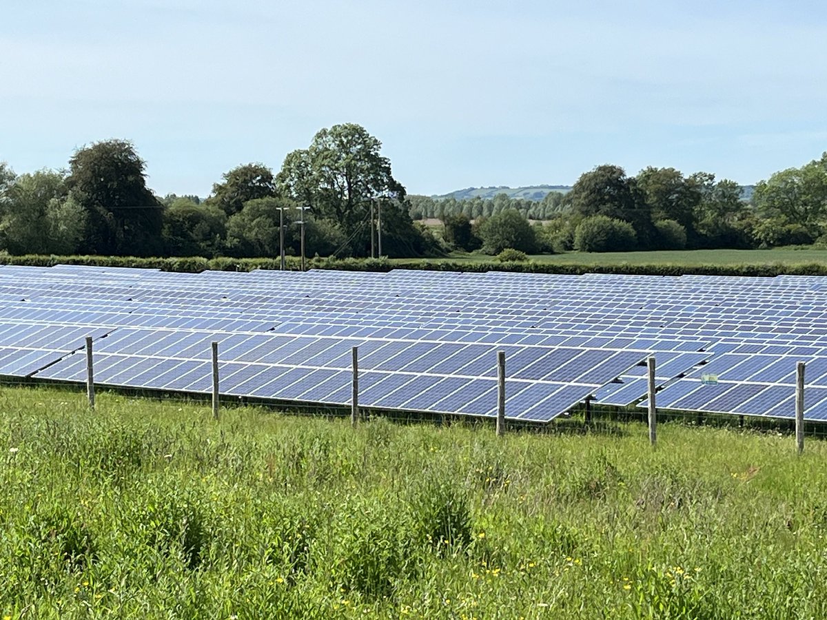 janepursey's tweet photo. Looking through the trees I thought this was water,then it dawned on me it was solar panels 😡It was hot and I felt sorry for all the insects bees butterflies and birds that might land on the darn things thinking it’s water, they will fry 😢 https://t.co/GqhC3k0iha