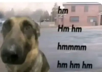 𝖈𝖆𝖒𝖎𝖑𝖑𝖆 🩺 tweet media