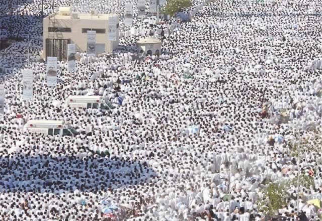 د ياسر الدوسري tweet media