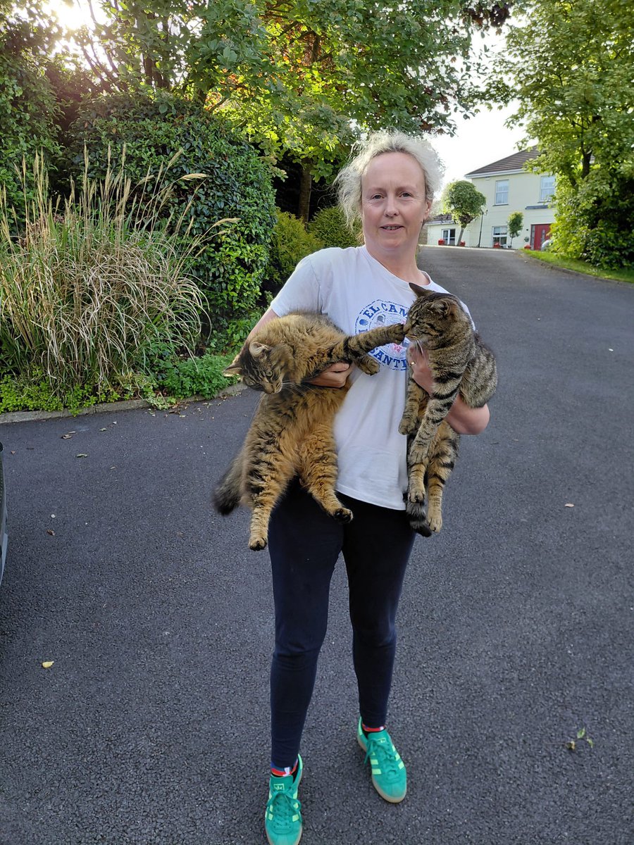 Aunt Scwagers 🌈 Bridie 🌈Blackie🌈Kitten & Fred🌈 tweet media