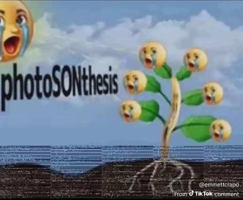 Wisdom_Web3's tweet photo. 220k is criminally low 

I need $SON to cross ATH https://t.co/Y7qqgUwdes