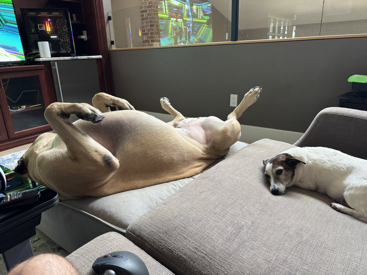 Gothalion tweet media