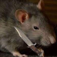 Rat Deadlock tweet media