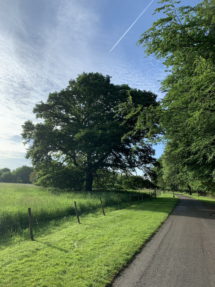 rebecca5key's tweet photo. Yay another 2 miles today 🚶🏻♀️
At least I’m consistent 🤣
#moveinmay
How did you do?
@julieanndale
@BexHeadTeacher
@Lynne22334 https://t.co/G5ZQ33OlFW