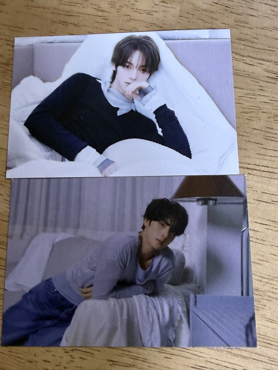 🐾도룽이만듀🥟 tweet media