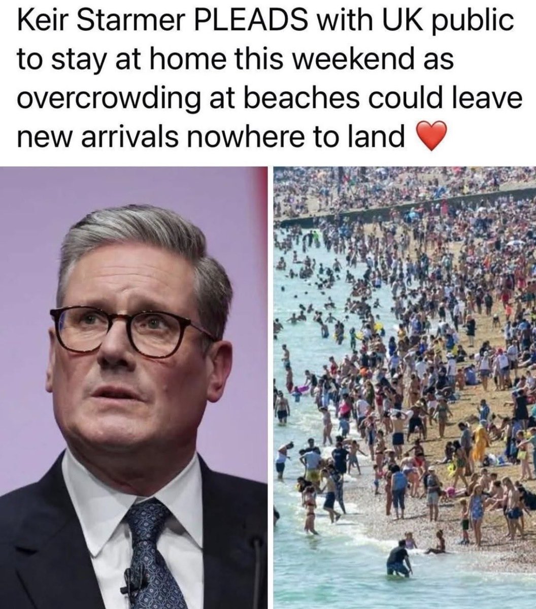 Steve Ryan tweet media
