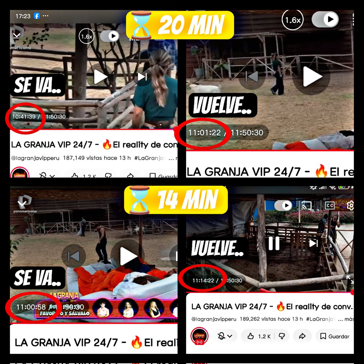 GianniLu tweet media