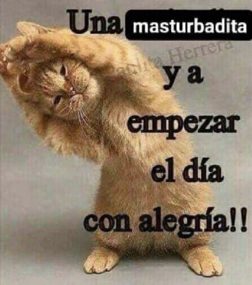 ୨ৎ tweet media