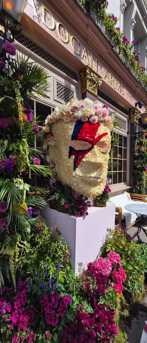 SBaxter77's tweet photo. What to do on hottest day of the year, a cheeky little off the cuff day with @DBaxter76. A stroll down the King's Road to ave a look at #ChelseaInBloom,then a meander through #Knightsbridge,before a jump on the tube for a mooch round #CamdenTown &amp; a banging #Chinese buffet! https://t.co/ZeCqRv7smD