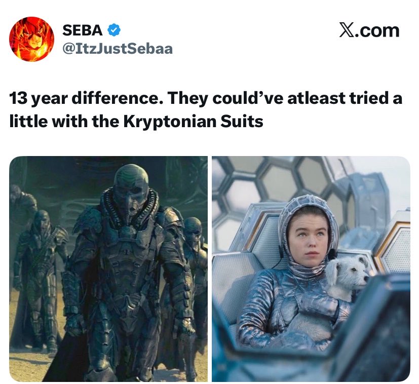 🦇 tweet media