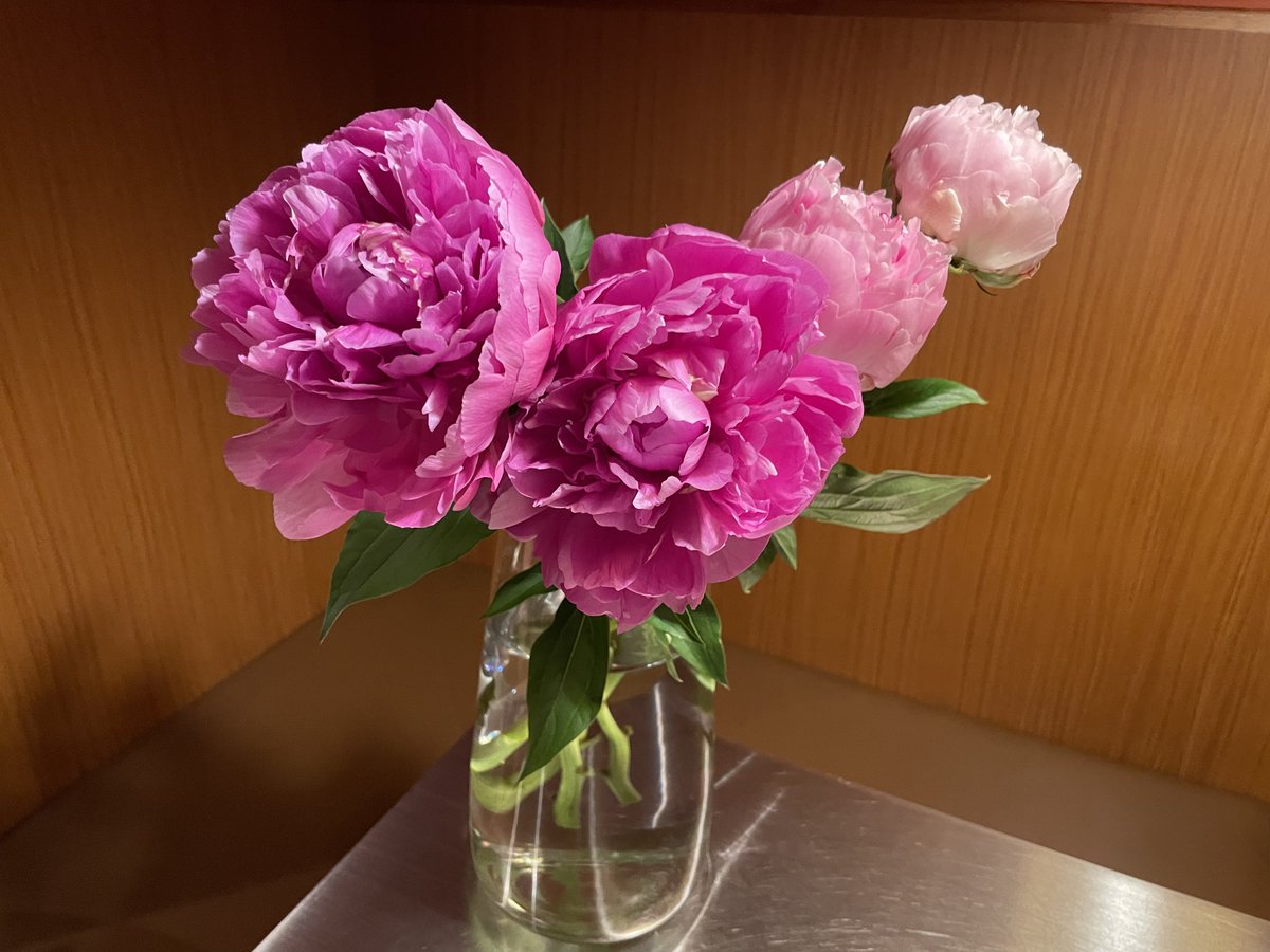Margaux2004's tweet photo. 芍薬が好き過ぎて。
#ルリベレール #台東区根岸
#ワインバー #深夜食堂 https://t.co/Ewlxqmc8bl