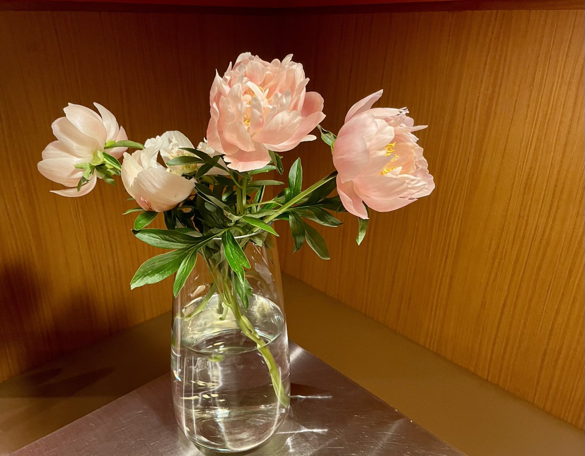 Margaux2004's tweet photo. 芍薬が好き過ぎて。
#ルリベレール #台東区根岸
#ワインバー #深夜食堂 https://t.co/Ewlxqmc8bl