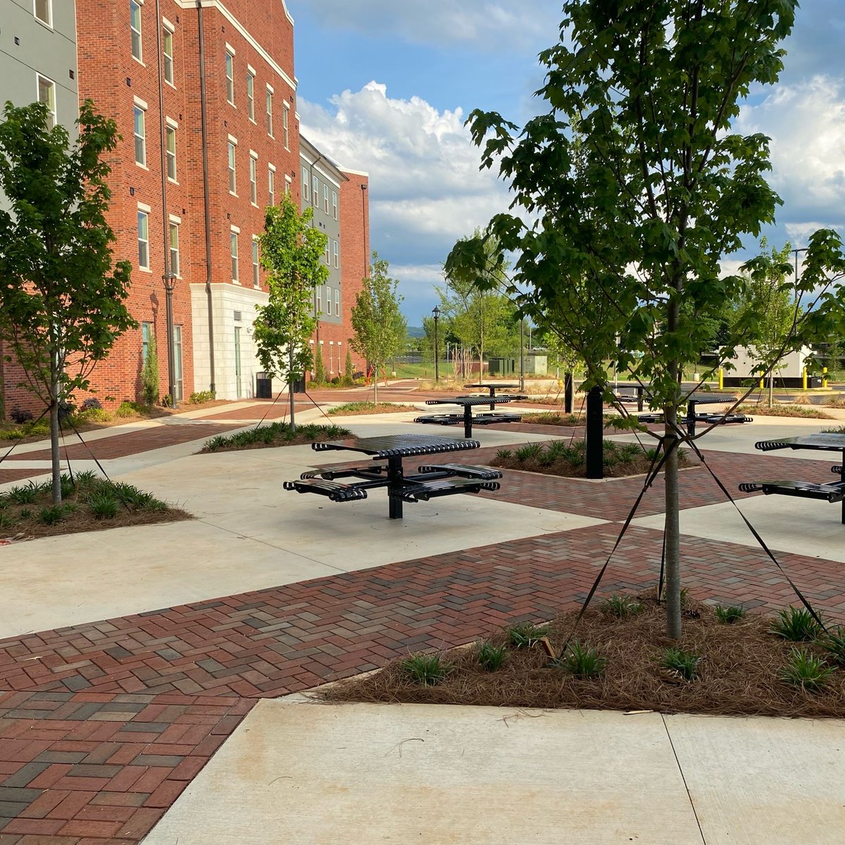 WhiteOak_LS's tweet photo. The planting of trees, bushes, grass and miscellaneous other plants along with the installation of the irrigation system needed to water all these plants is complete and looking great as we finish this project at Jacksonville State University in Alabama.
https://t.co/vfsR4NJRSV https://t.co/3Plv6KObet