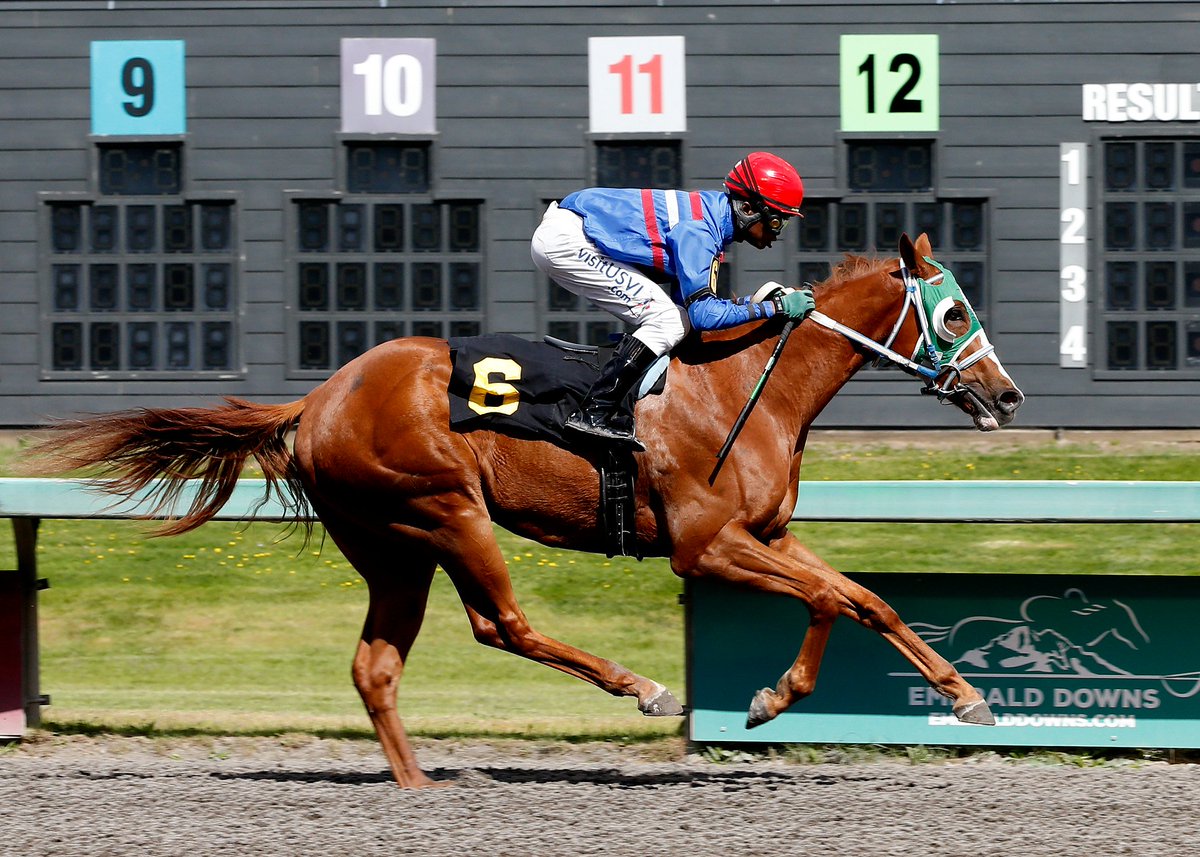 Emerald Downs tweet media