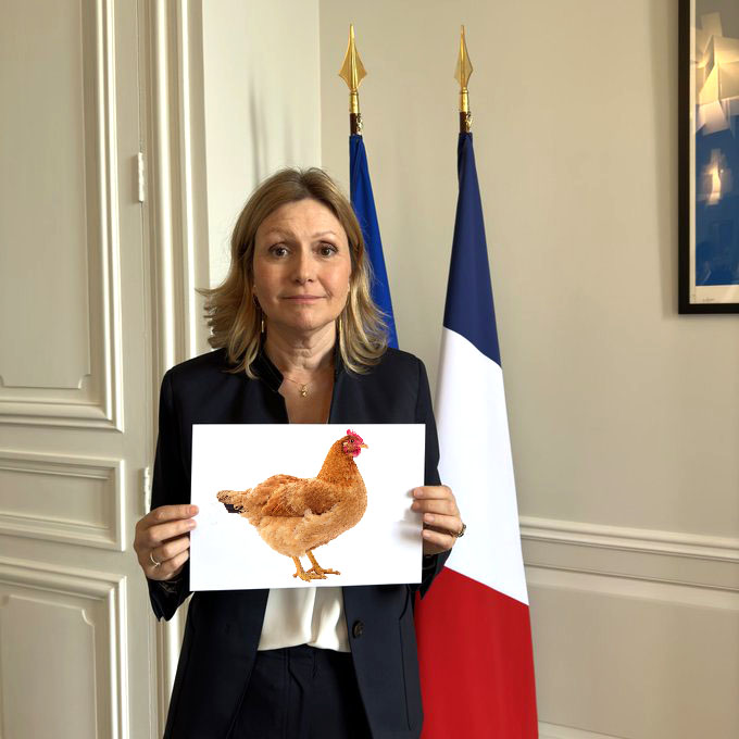 DonnieSenFout tweet media