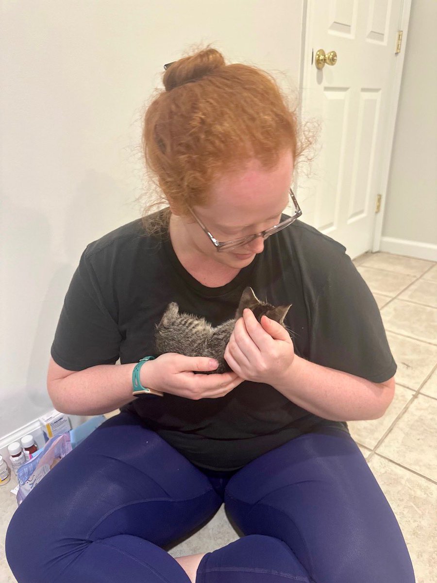 ProjectMEOW's tweet photo. UPDATE on Peanut 🥜 

His eye removal surgery went very well, &amp; he’s now recovering comfortably &amp; being spoiled by his foster mom ❤️ We’re still waiting to learn if his remaining eye can be saved.

Help support his ongoing care:
PayPal: https://t.co/cuHoYOOYMh
Venmo: @ProjectMEOW https://t.co/MVc2lEd5NJ