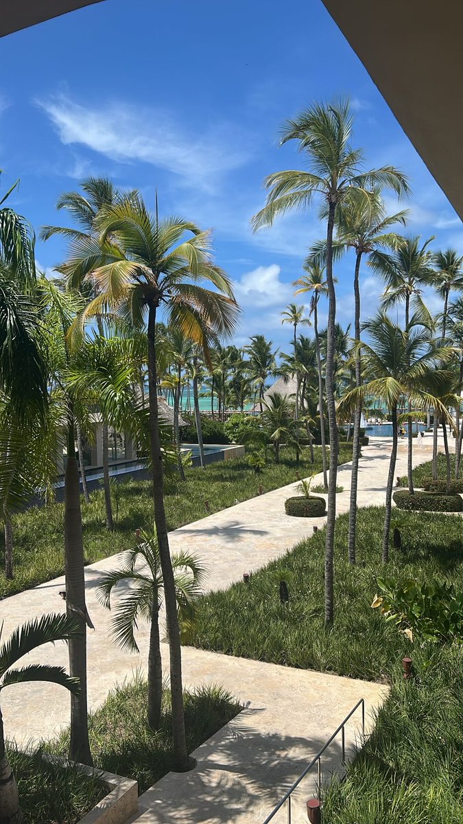 NickyRbb's tweet photo. Tu amiga de la que no sabes hace tres semanas aparece en Punta Cana https://t.co/tvrvYA6GPm