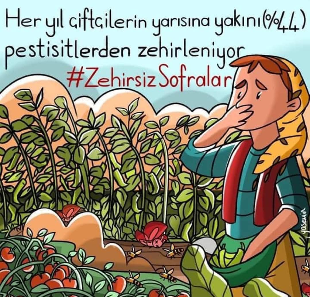 Recep Somuncu tweet media
